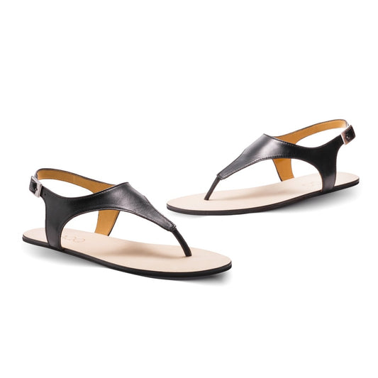 Wir präsentieren die QAVA Black von ZAQQ, ein Paar elegante Zehentrenner-Sandalen aus glattem Nappaleder. Diese Sandalen sind perfekt für lässige Outfits und zeichnen sich durch ein minimalistisches Design mit einem einfachen Zehenstegriemen und offener Ferse aus, das sich elegant vor einem weißen Hintergrund abhebt.